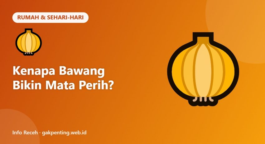 Kenapa Bawang Bikin Mata Perih?